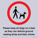 please-keep-all-dogs-on-a-lead-as-they-can-disturb-ground-nesting-birds-and-thei~